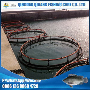 Floating HDPE Culture Tilapia Cage